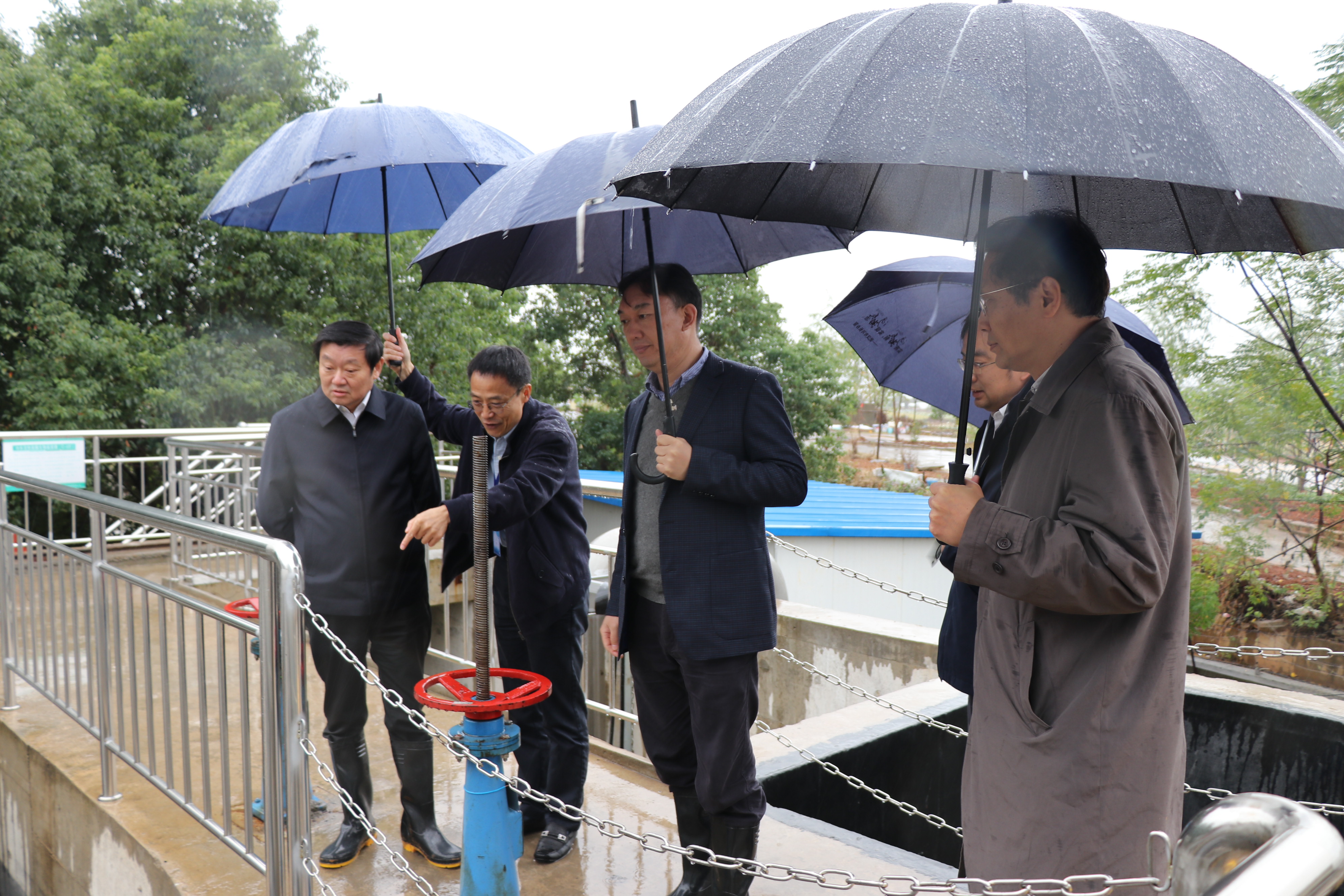 汪祥旺副市长（左一）调研太阳成集团tyc33455cc汤逊湖项目.JPG